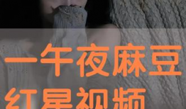午夜视频免费观看,免费畅享精彩视频盛宴
