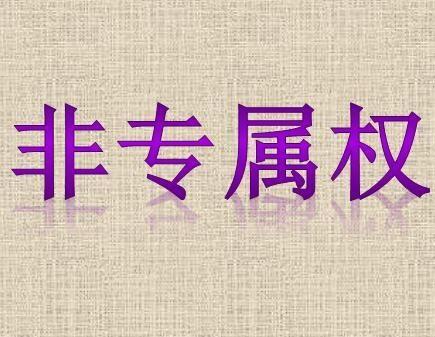 专属权,法律保护下的知识产权奥秘