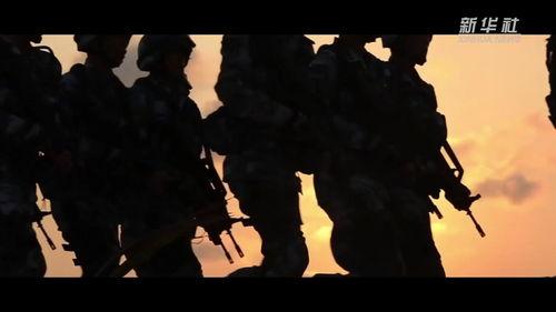 81视频,揭秘热门话题背后的真相与观点